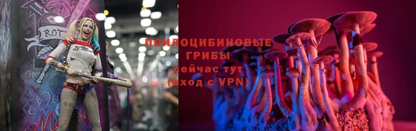 крисы Осташков