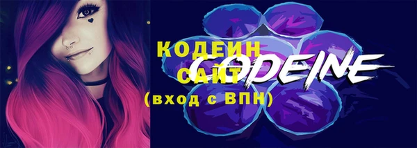 крисы Осташков