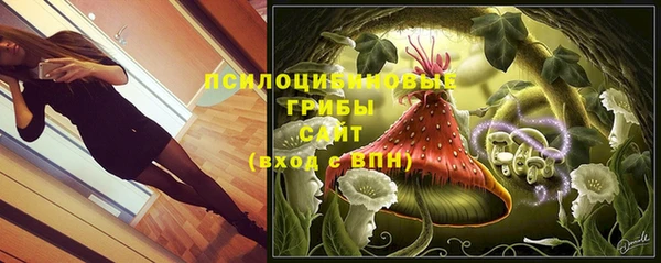 крисы Осташков