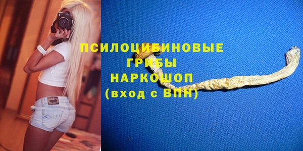 крисы Осташков
