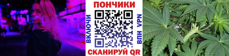 Шишки марихуана конопля  купить  сайты  Кировград 
